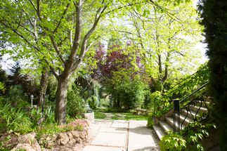 Our estate has a park for your wedding in Provence