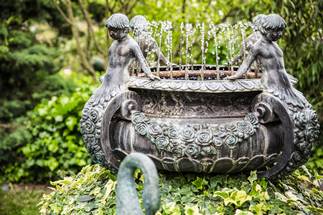 Votre salle de mariage est dans un paysage provençal de lavande et d'oliviers